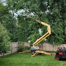 How Our Tree Care Process Works  in  North Fond Du Lac, WI
