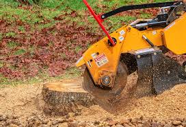 Reliable North Fond Du Lac, WI Tree Removal Solutions
